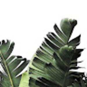 Meet your Posher, Jazmin